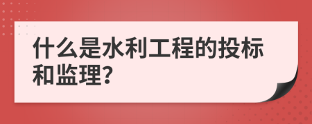 什么是水利工程的投标和监理？