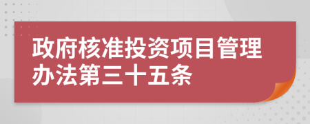 政府核准投资项目管理办法第三十五条