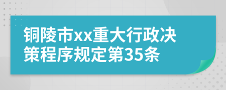 铜陵市xx重大行政决策程序规定第35条