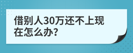 借别人30万还不上现在怎么办？