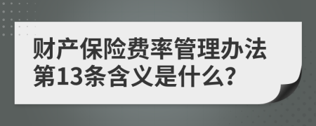 财产保险费率管理办法第13条含义是什么？