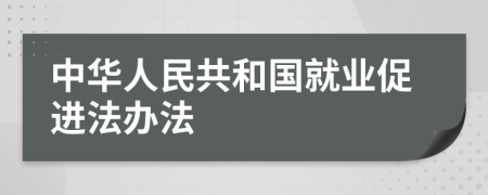 中华人民共和国就业促进法办法