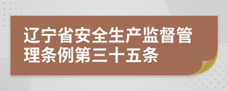 辽宁省安全生产监督管理条例第三十五条