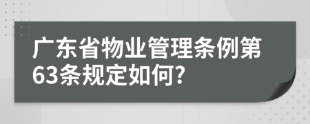 广东省物业管理条例第63条规定如何?