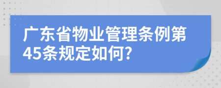 广东省物业管理条例第45条规定如何?