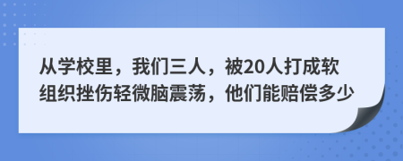 从学校里，我们三人，被20人打成软组织挫伤轻微脑震荡，他们能赔偿多少