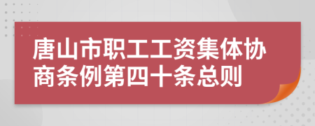 唐山市职工工资集体协商条例第四十条总则