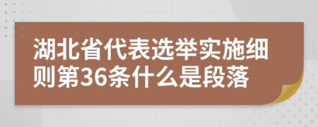 湖北省代表选举实施细则第36条什么是段落