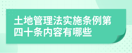 土地管理法实施条例第四十条内容有哪些