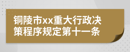 铜陵市xx重大行政决策程序规定第十一条