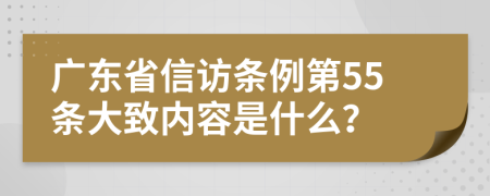 广东省信访条例第55条大致内容是什么？