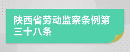 陕西省劳动监察条例第三十八条