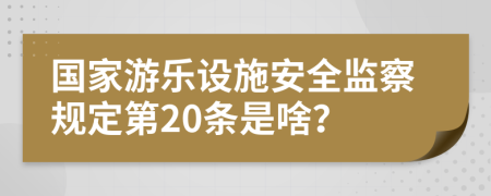 国家游乐设施安全监察规定第20条是啥？