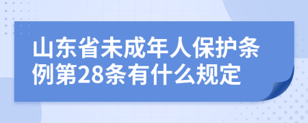 山东省未成年人保护条例第28条有什么规定