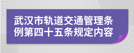 武汉市轨道交通管理条例第四十五条规定内容