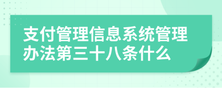 支付管理信息系统管理办法第三十八条什么