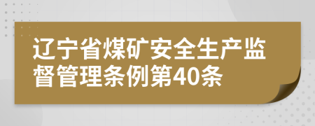 辽宁省煤矿安全生产监督管理条例第40条