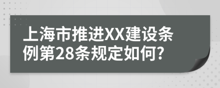 上海市推进XX建设条例第28条规定如何?