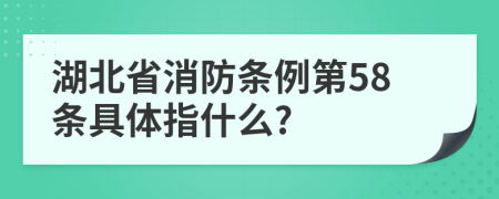 湖北省消防条例第58条具体指什么?