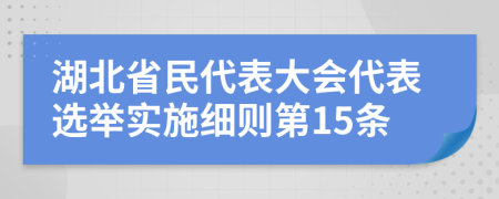 湖北省民代表大会代表选举实施细则第15条