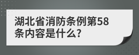 湖北省消防条例第58条内容是什么?