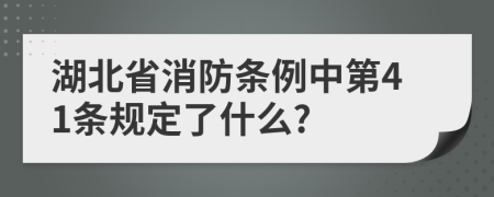 湖北省消防条例中第41条规定了什么?