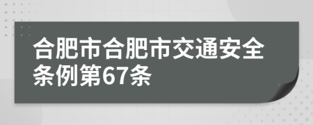 合肥市合肥市交通安全条例第67条