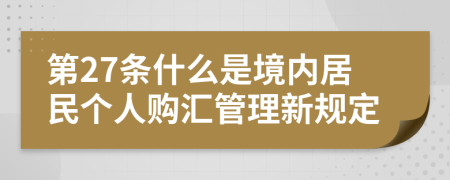 第27条什么是境内居民个人购汇管理新规定