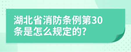 湖北省消防条例第30条是怎么规定的?