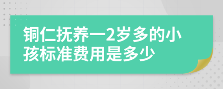 铜仁抚养一2岁多的小孩标准费用是多少