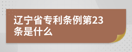 辽宁省专利条例第23条是什么