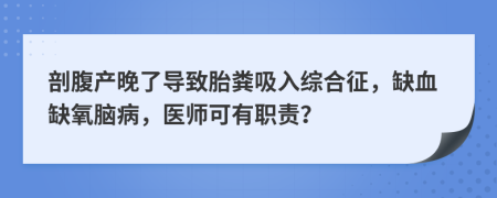 剖腹产晚了导致胎粪吸入综合征，缺血缺氧脑病，医师可有职责？