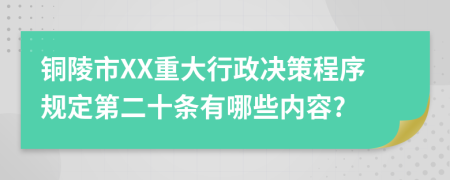 铜陵市XX重大行政决策程序规定第二十条有哪些内容?