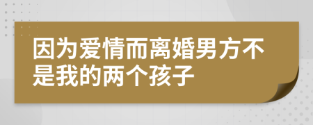 因为爱情而离婚男方不是我的两个孩子