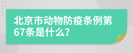 北京市动物防疫条例第67条是什么？