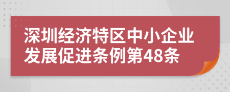 深圳经济特区中小企业发展促进条例第48条