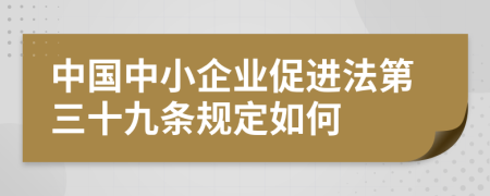 中国中小企业促进法第三十九条规定如何