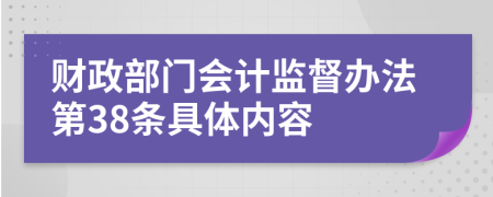 财政部门会计监督办法第38条具体内容