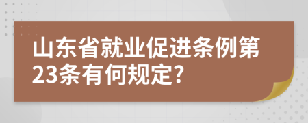 山东省就业促进条例第23条有何规定?