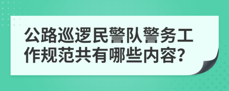 公路巡逻民警队警务工作规范共有哪些内容？