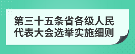 第三十五条省各级人民代表大会选举实施细则