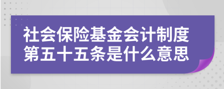 社会保险基金会计制度第五十五条是什么意思