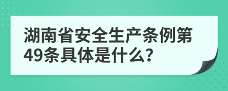 湖南省安全生产条例第49条具体是什么？