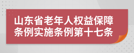 山东省老年人权益保障条例实施条例第十七条