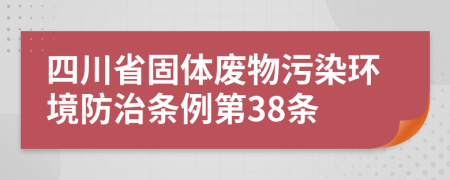 四川省固体废物污染环境防治条例第38条