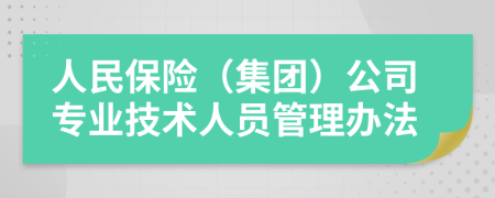 人民保险（集团）公司专业技术人员管理办法