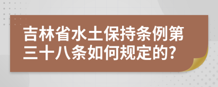 吉林省水土保持条例第三十八条如何规定的?