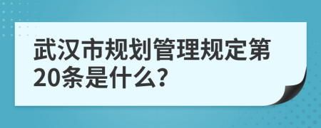 武汉市规划管理规定第20条是什么？