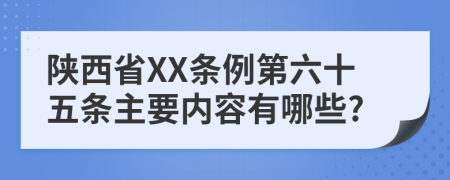 陕西省XX条例第六十五条主要内容有哪些?