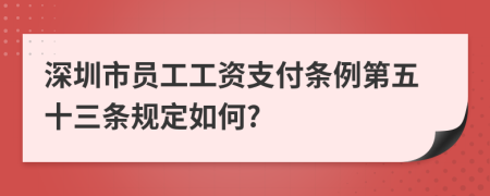 深圳市员工工资支付条例第五十三条规定如何?